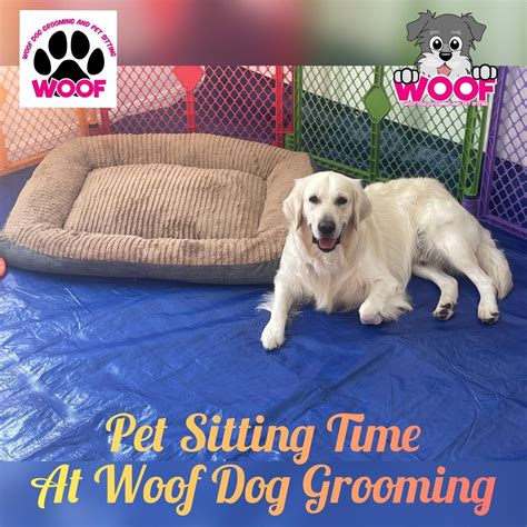 Woof Dog Grooming And Pet Sitting Orlando