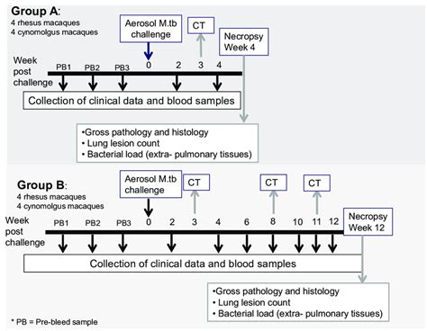 Experimental study design. | Download Scientific Diagram