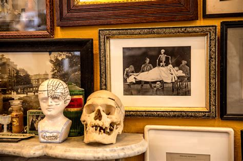 The Morbid Anatomy Museum Opens In Brooklyn The New York Times