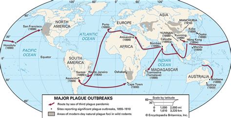 Plague Bubonic Pneumonic Septicaemic Britannica