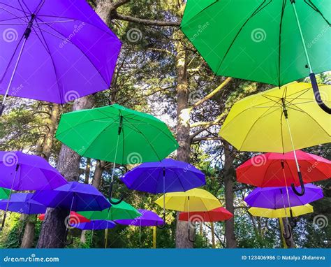 Umbrellas Of Different Colors Above Ground Iridescent Umbrellas Stock