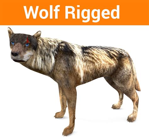 Rigged Wolf 3d Free 3d Models Obj Obj Download Free3d