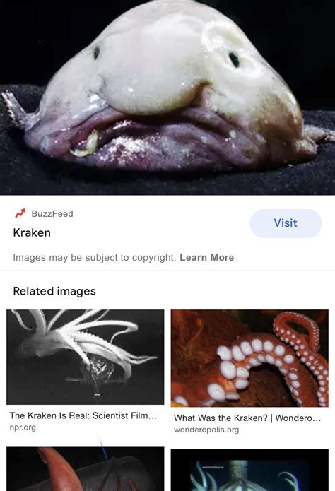 What how is that a kraken? 😂 : r/squid