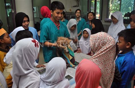 BELAJAR MERAWAT HEWAN PELIHARAAN ANTARA Foto