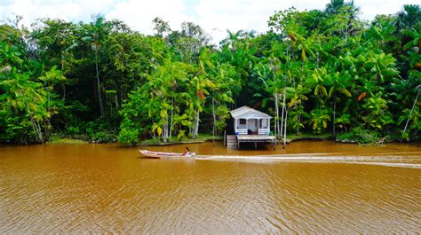 Descubra O Que Fazer Em Macap Ap Cidade Faz Anos