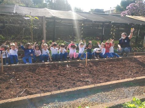 Rede Vicentina de Educação Escola Vicentina Santa Ana Notícias