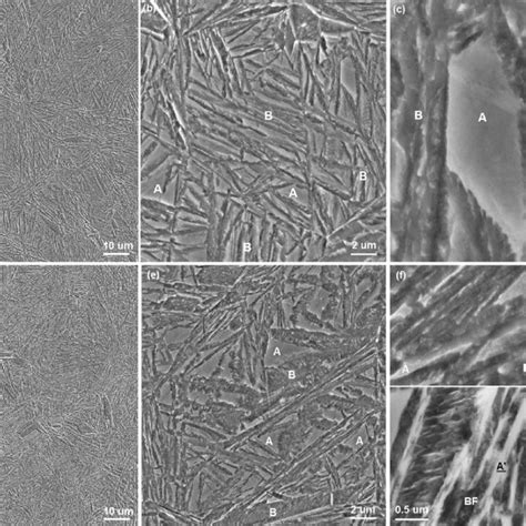 Sem Images Showing The Microstructure Of A C Sample T 30 And D F Sample Download Scientific