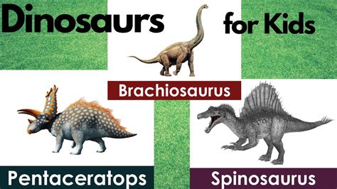 Dinosaurs Names For Kids 24 Dinosaur Names Types Of Dinosaurs Youtube