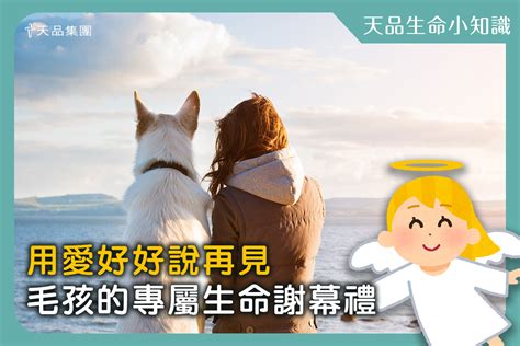 【天品生命小知識】用愛好好說再見 毛孩的專屬生命謝幕禮😇🧡 天品山莊