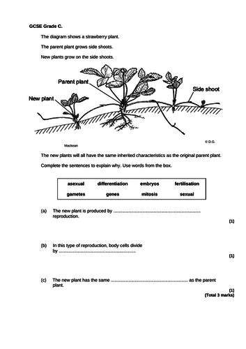 Plant Reproduction Sexual And Asexual Teaching Resources