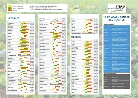 Guide Des Plantations P Riodes Et Calendrier Des Semis Atep