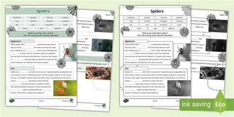 Spiders Cloze Worksheet Profesor Hizo Twinkl