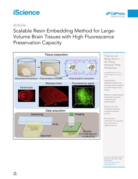 Pdf Scalable Resin Embedding Method For Large Volume Brain Tissues With High Fluorescence