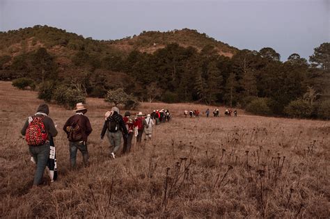 Ruta del Peregrino 200 años de tradición en Jalisco Descubre México