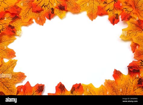 Orange Maple Autumn leaf border with space copy over on white ...