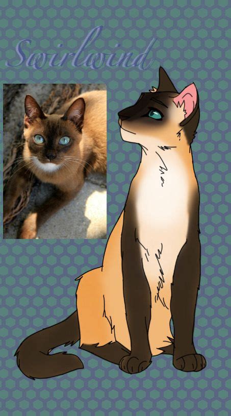 My Warrior Cats Oc Swirlwind Born To Wind Clan Outline For Body Was