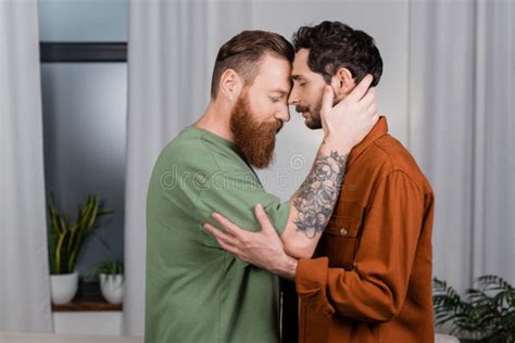 Side View Of Bearded Gay Couple Stock Photo Image Of Indoors Bearded