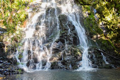 Conheça o Parque das Araucárias em Passos Maia