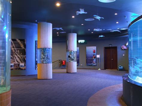 Vinpearl Aquarium Marinescape Eco Aquariums