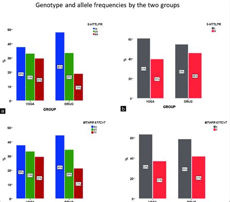 Httlpr And Mthfr C T Genotype And Allele Frequencies A Httlpr