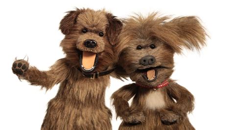 Hacker And Dodge Were Half Brothers Cbbc Newsround