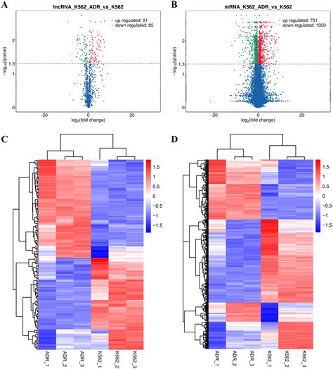 Analysis Of Cerna Networks And Identification Of Potential Drug Targets