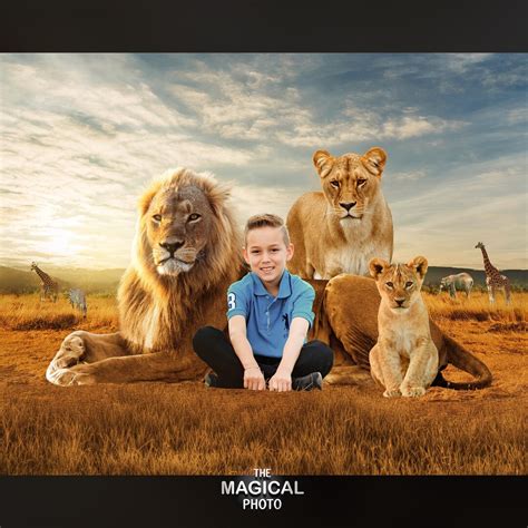 Lion Family Digital Background, Digital Backdrop, for Composite ...