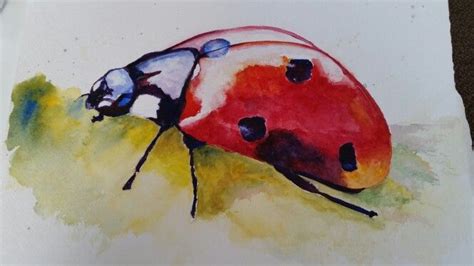 Ladybird Watercolour Watercolor Painting Art