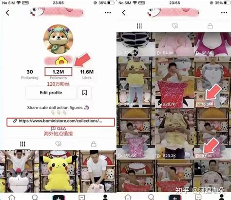 小白如何从零开始学习tik Tok？短视频如何变现？ 知乎