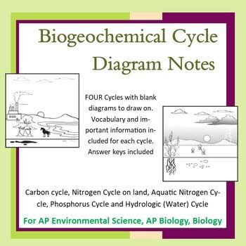 Biogeochemical Cycles Diagram Notes Ap Env Science Biology Distance