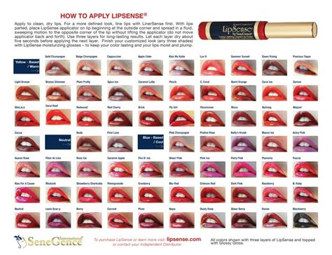 Color Chart Lipsense Lip Colors Lipsense Colors Chart Lip Colors