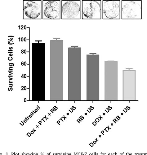 Figure From Targeted Chemosonodynamic Therapy Treatment Of Breast