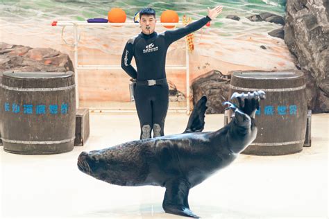 乐游长沙海底世界，欢度海洋团圆节海底世界湖南有限公司 大型海洋科普教育馆 湖南广播电视台的影视拍摄基地