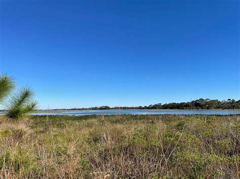 Lake Placid Scrub Lake Wales Ridge Wea Florida Hikes