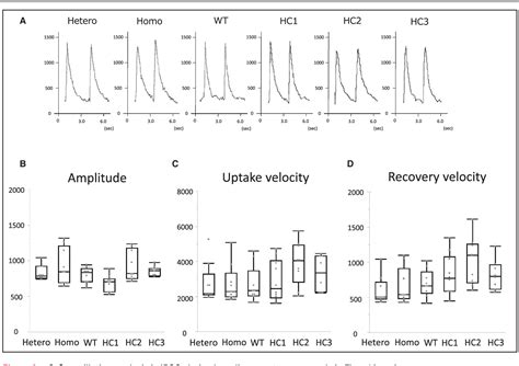 Figure From Impaired Relaxation In Induced Pluripotent Stem Cell