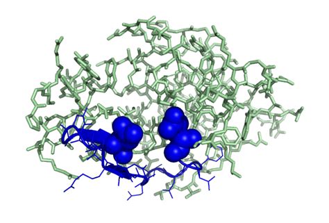 biochem: Pics of Lysozyme