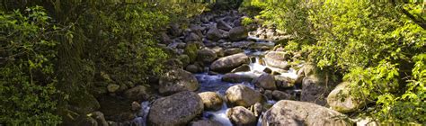 Summit Waikato Wellbeing Project