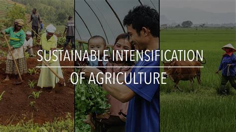 Fao Policy Series Sustainable Intensification Of Agriculture Youtube