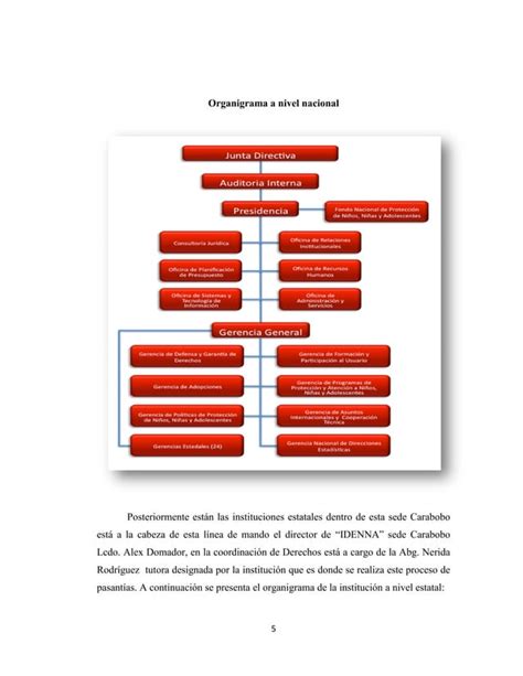 Informe Final Completo De Idenna PDF