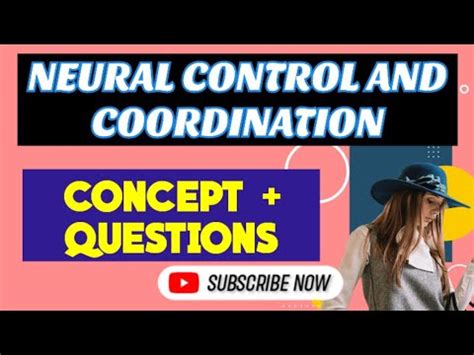 Neural Control And Coordination Question Practice Neet Pyq S