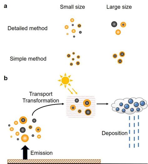 The Treatment Of Particle Size Image Eurekalert Science News Releases