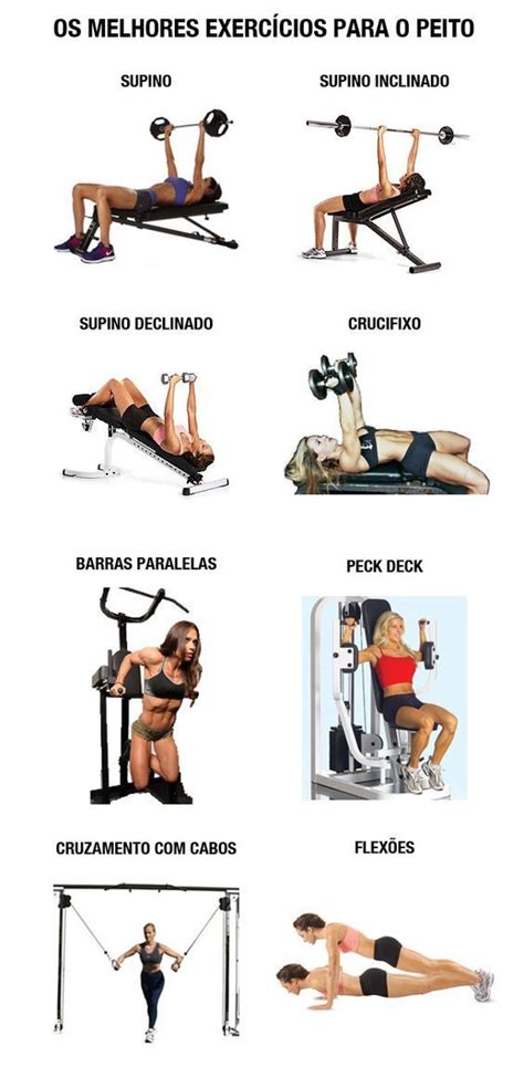 Serie completa de exercícios para o peito Fitness body Workout apps