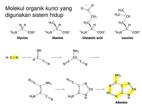 Ppt Evolusi Biokimia Powerpoint Presentation Free Download Id 5425109