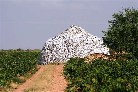 Mancha wine region - wines and history