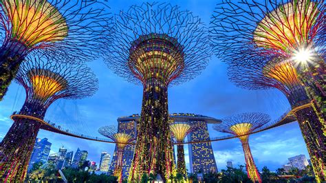 Gardens By The Bay Supertree Grove Opens Till Am Daily Entry Is Free