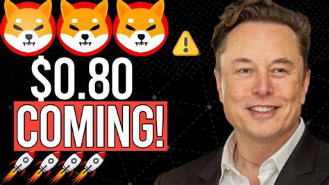 Elon Musk And Cathie Wood Reveals How Shiba Inu Coin Will Hit