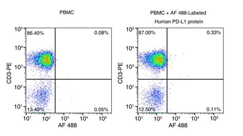 Recombinant Human Pd L B H Protein H H Sd Sino Biological