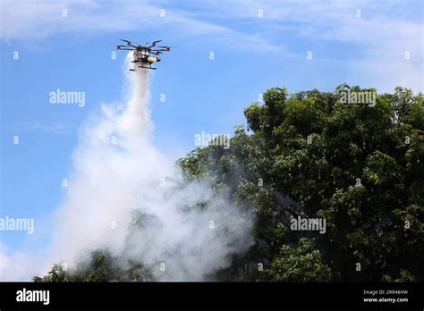 Anti Chikungunya Hi Res Stock Photography And Images Alamy