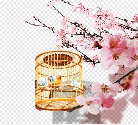 Bird Cherry Blossom Computer File Peach Blossoms Branch Flower Cage