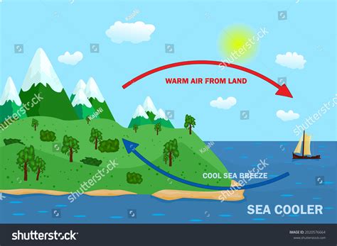 Science Poster Design Sea Land Breeze Stock Vector Royalty Free